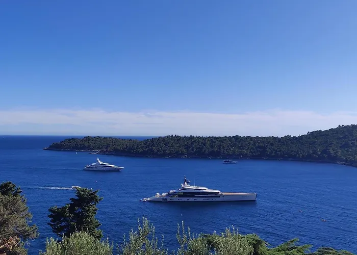 The דוברובניק